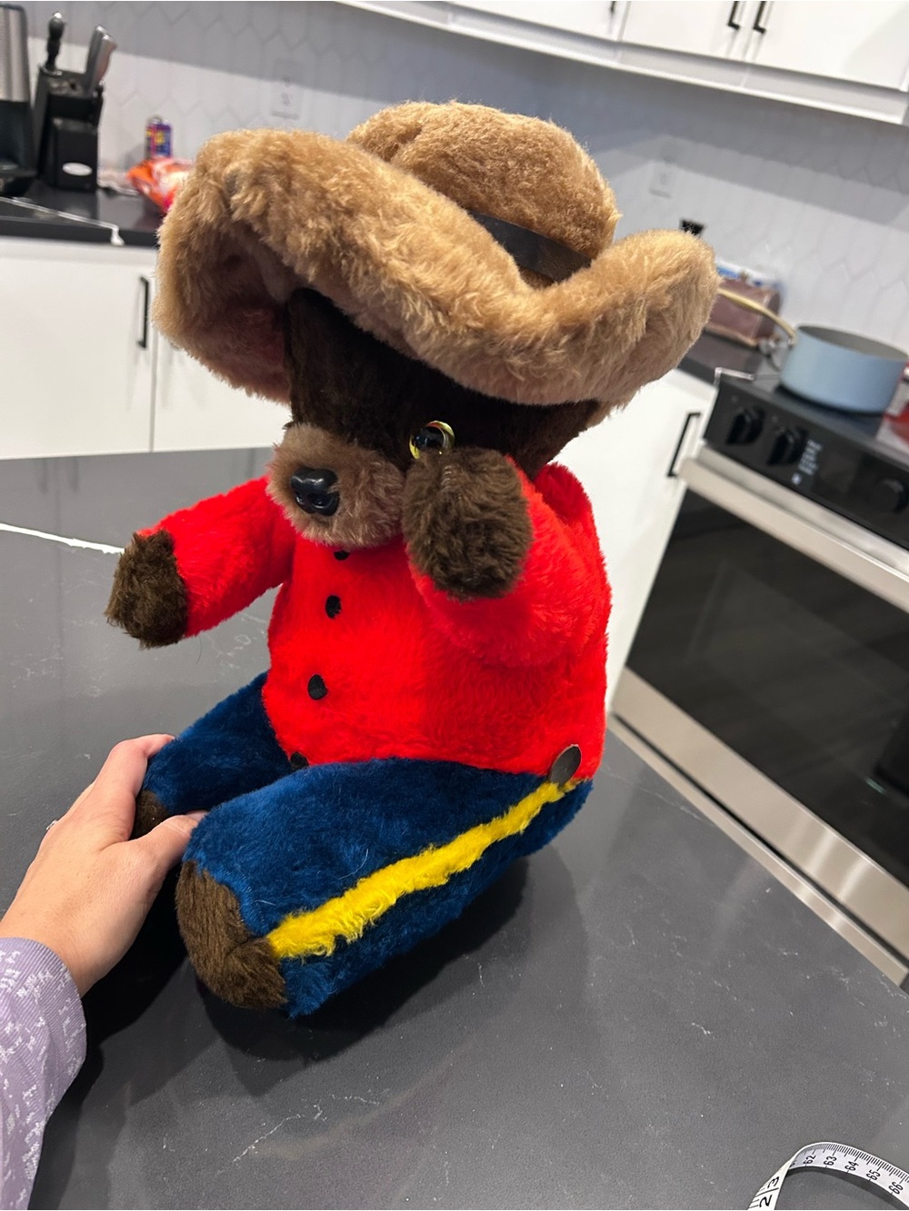 Vintage Canadian Mountie RCMP Plush Bear Spruce Grove Soft Toy Collectible